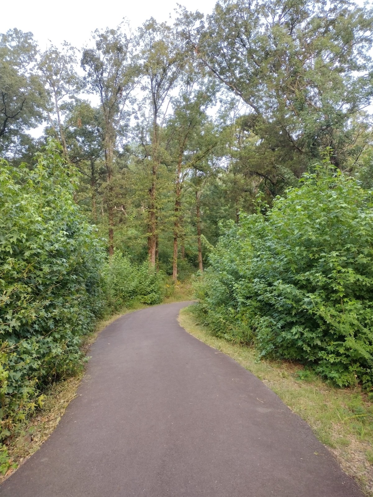 Where You lead, I Will&nbsp;Follow